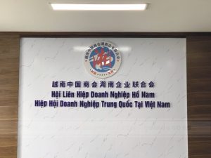 làm logo công ty tư vấn du học